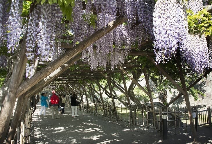 五稜郭公園