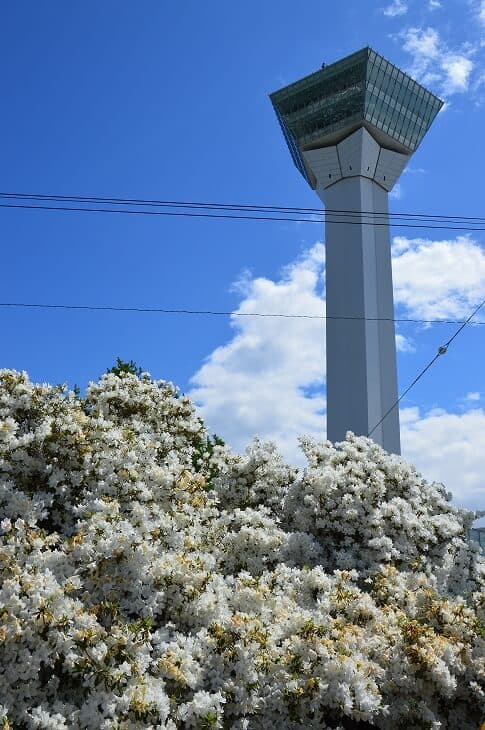 五稜郭公園