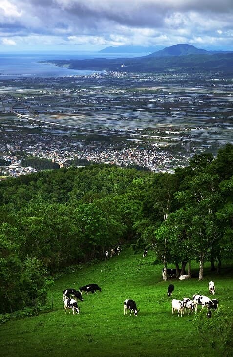 城岱スカイライン