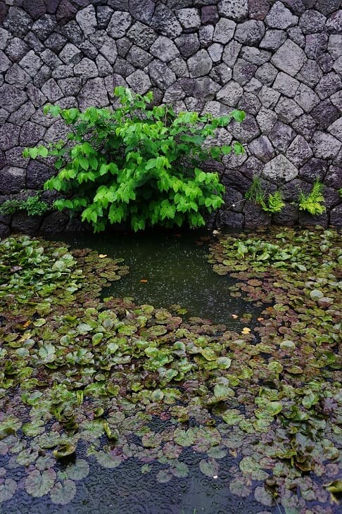 五稜郭公園