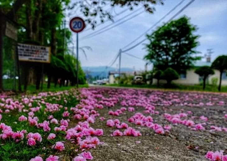 北斗市内