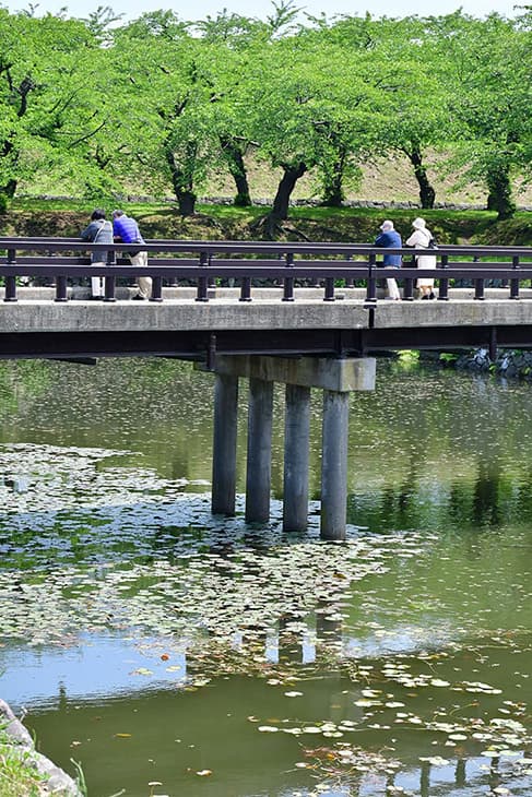 五稜郭公園