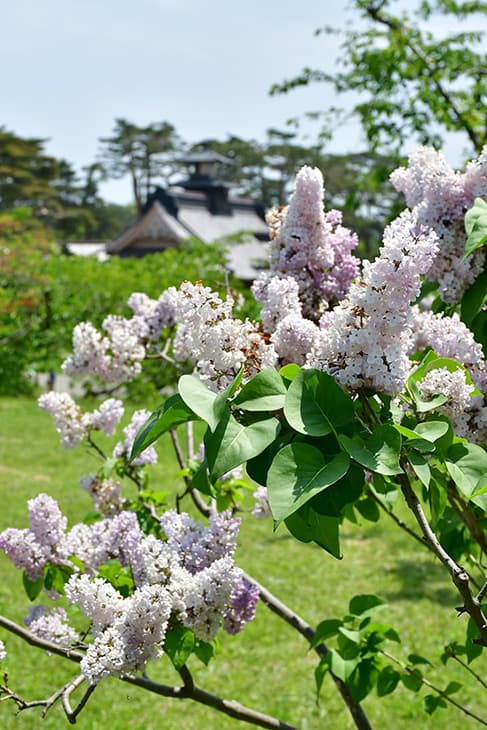 五稜郭公園