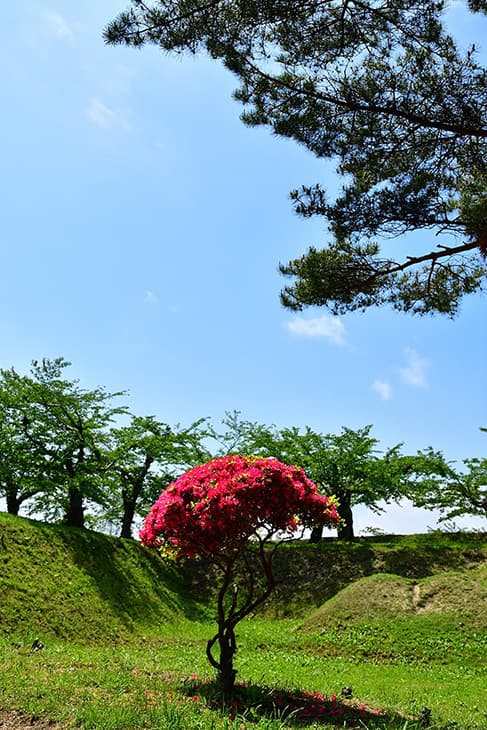 五稜郭公園