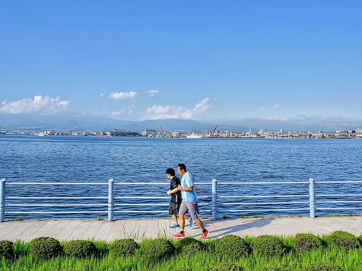 緑の島