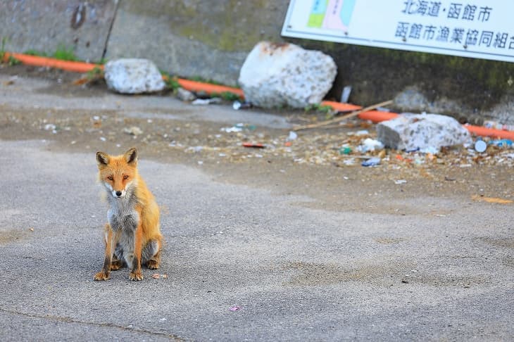 住吉漁港