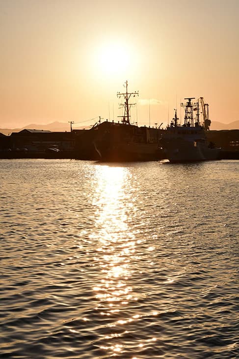 緑の島