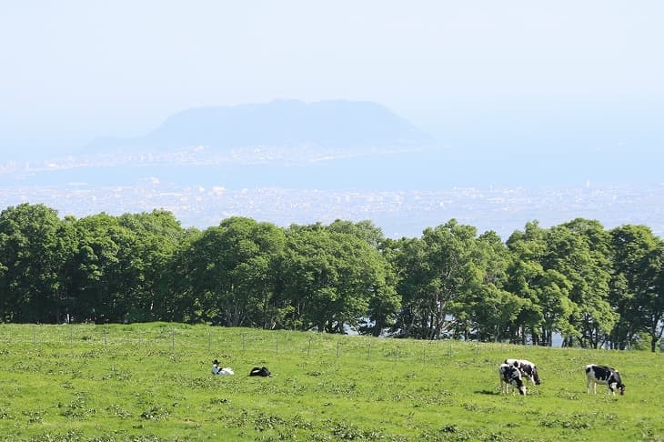 城岱牧場