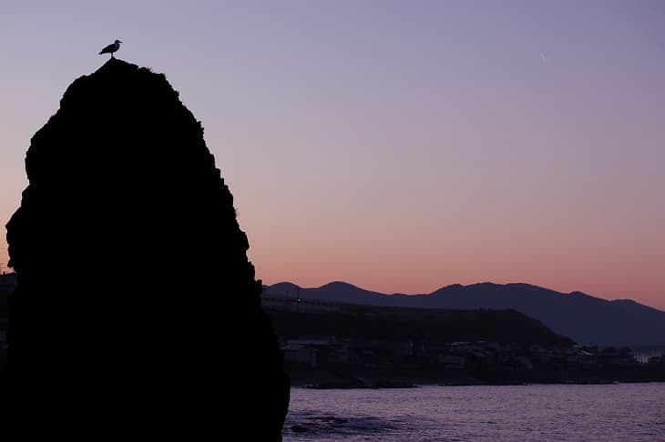 銭亀町・黒岩岬