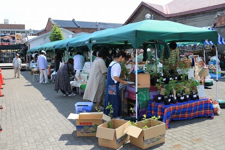 赤レンガ倉庫